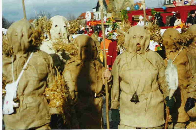 umzug03.jpg
