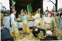 umzug04.jpg